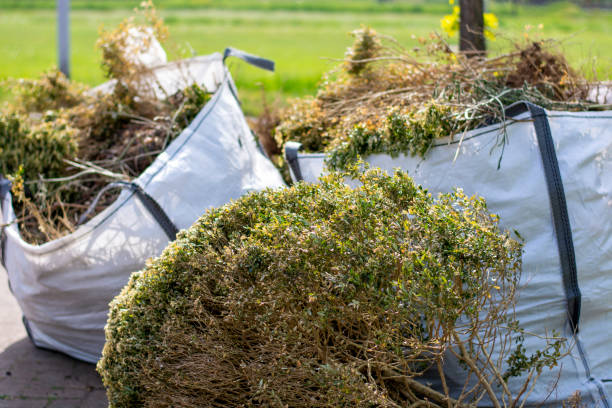 Best Local Junk Hauling  in Andrews, NC